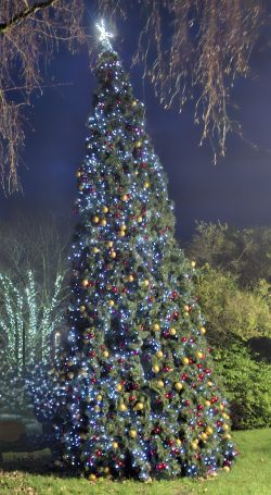 Blidworth PC Christmas tree